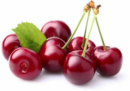 تصویر 3 از فروش کنسانتره آلبالو + قیمت خرید به صرفه